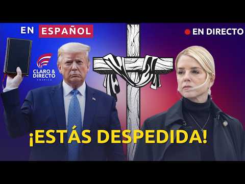 file.jpeg 2026 04 04T003822.143Z